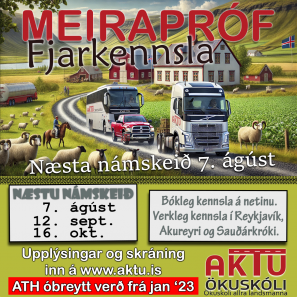 MEIRAPRF  FJARNMI - GST