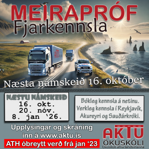 MEIRAPRF  FJARNMI - OKTBER