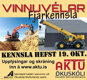 VINNUVLANM  FJARNMI