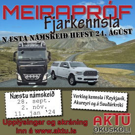 MEIRAPRF  FJARNMI - GST