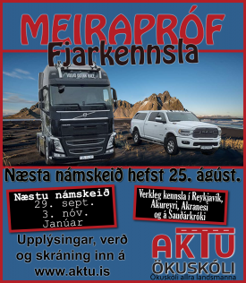 MEIRAPRF  FJARNMI - GST