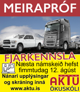 MEIRAPRF  FJARNMI - GST