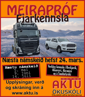 MEIRAPRF  FJARNMI - MARS