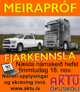 MEIRAPRF  FJARNMI - NVEMBER