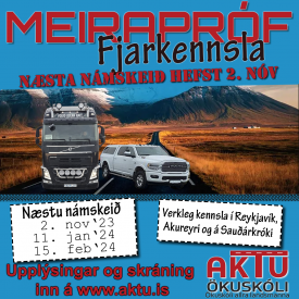 MEIRAPRF  FJARNMI - NVEMBER