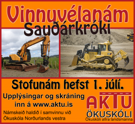 STRA VINNUVLANMSKEII  SAURKRKI, HELGARNMSKEI 1. JL.