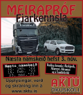 MEIRAPRF  FJARNMI - NVEMBER