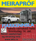 MEIRAPRF  FJARNMI - OKTBER